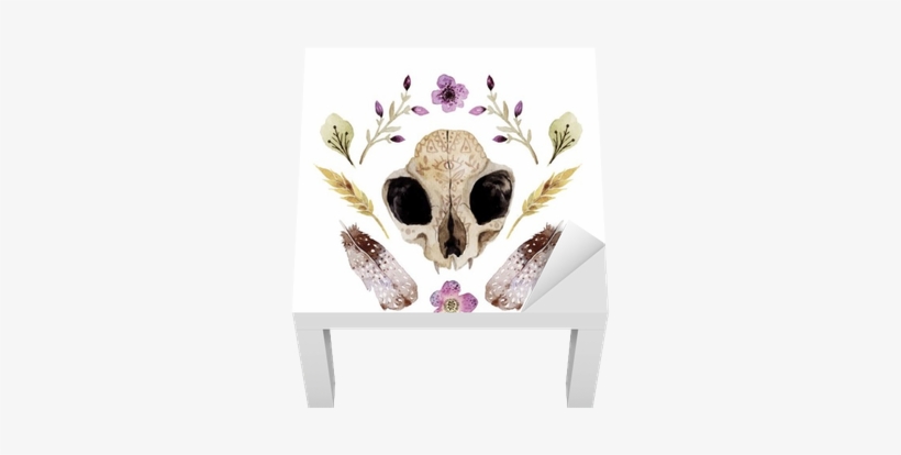 Watercolor Vector Boho Illustration With Skull Lack - Illustration, transparent png #1165482