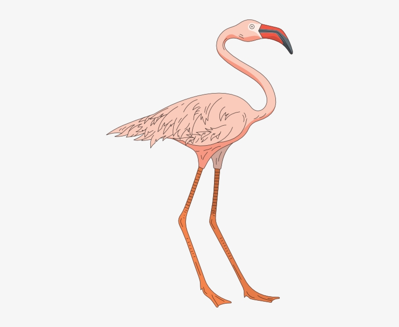 Pink Flamingo Clip Art Free Cliparts And Others Art - Flamingos, transparent png #1165807