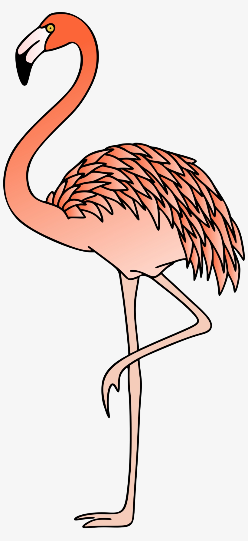 Big Image - Clip Art, transparent png #1165833