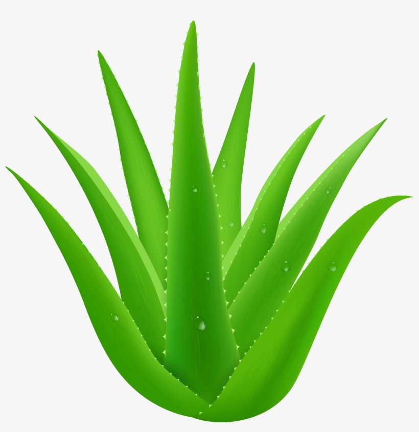 View Full Size, transparent png #1165901