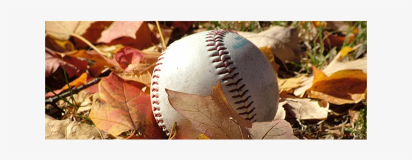 Fall Ball - Best Athlete Is Made During The Off Season, transparent png #1166019