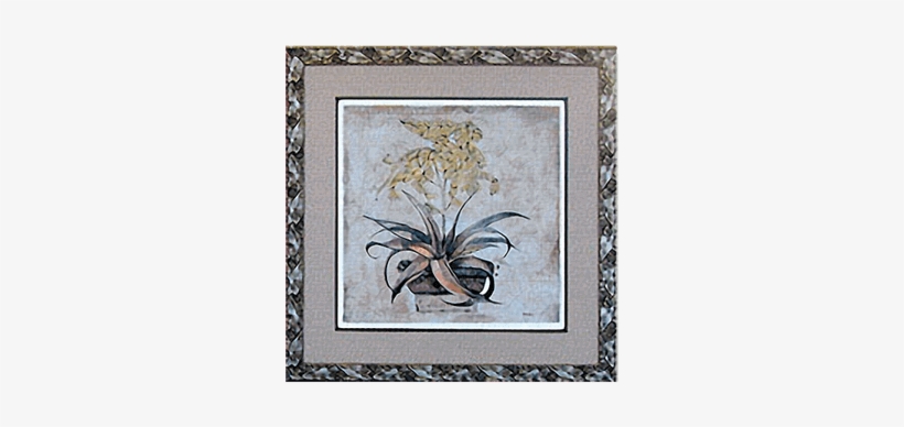 Aloe Vera I Picture - Motif, transparent png #1167473