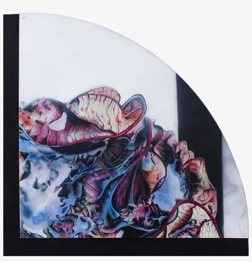 Thank You - Still Life, transparent png #1167498