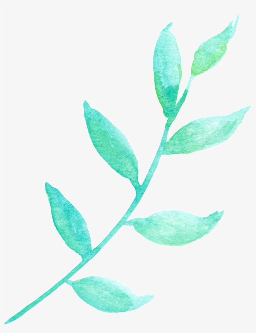 La Luz Del Sol Y La Hoja Verde Cartoon Png Transparente Calligraphy Flowers Png Free Transparent Png Download Pngkey la luz del sol y la hoja verde cartoon