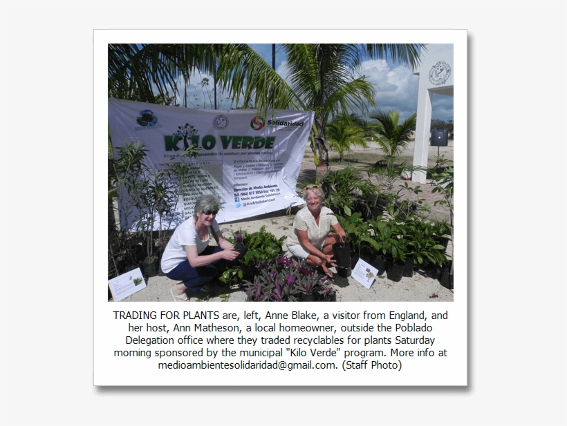 Briefly Noted - Flyer, transparent png #1168167