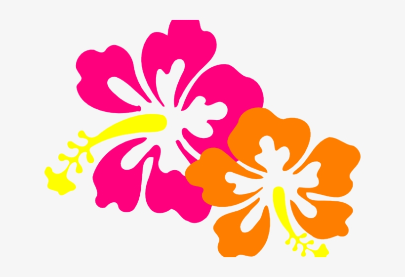 Hibiscus Clip Art, transparent png #1168914