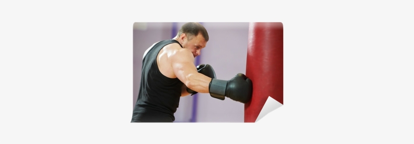 Boxer Man At Boxing Training With Heavy Bag Wall Mural - Boxing, transparent png #1169139