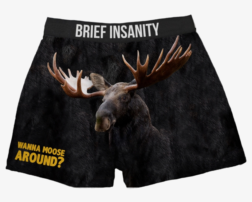 Moose Boxer Shorts Wanna Moose Around - Elche 2018, Elche 2018 (buch) Kalender, transparent png #1169338