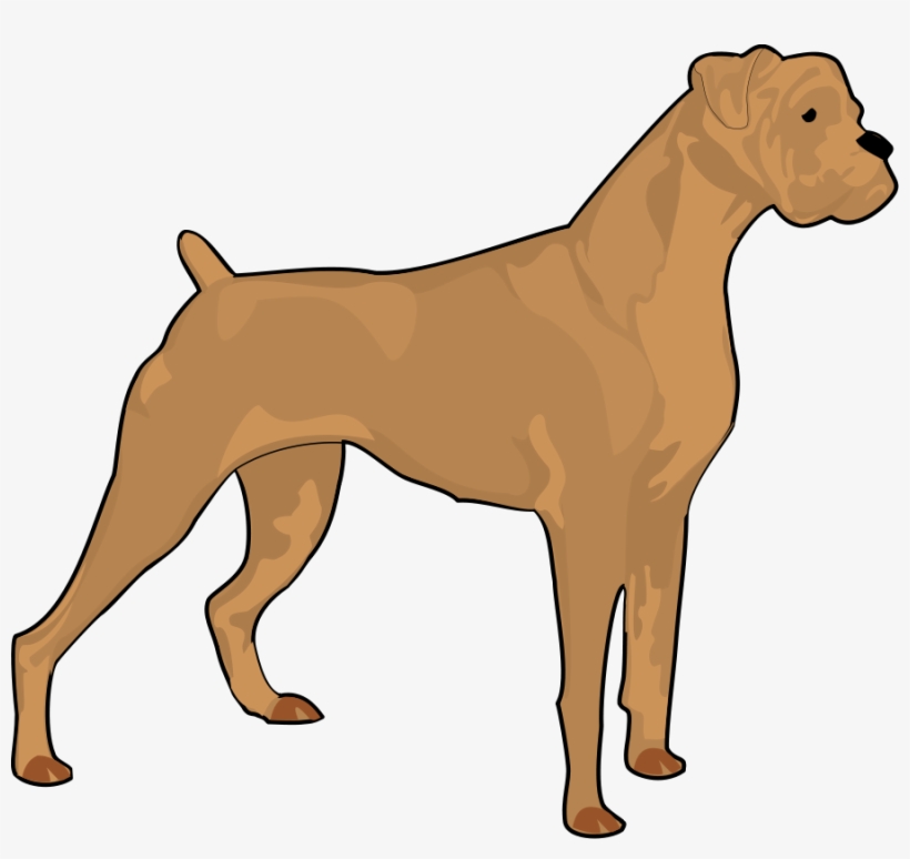 How To Set Use Boxer Clipart, transparent png #1169410