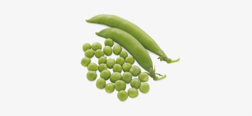 Vegetable, transparent png #1169530