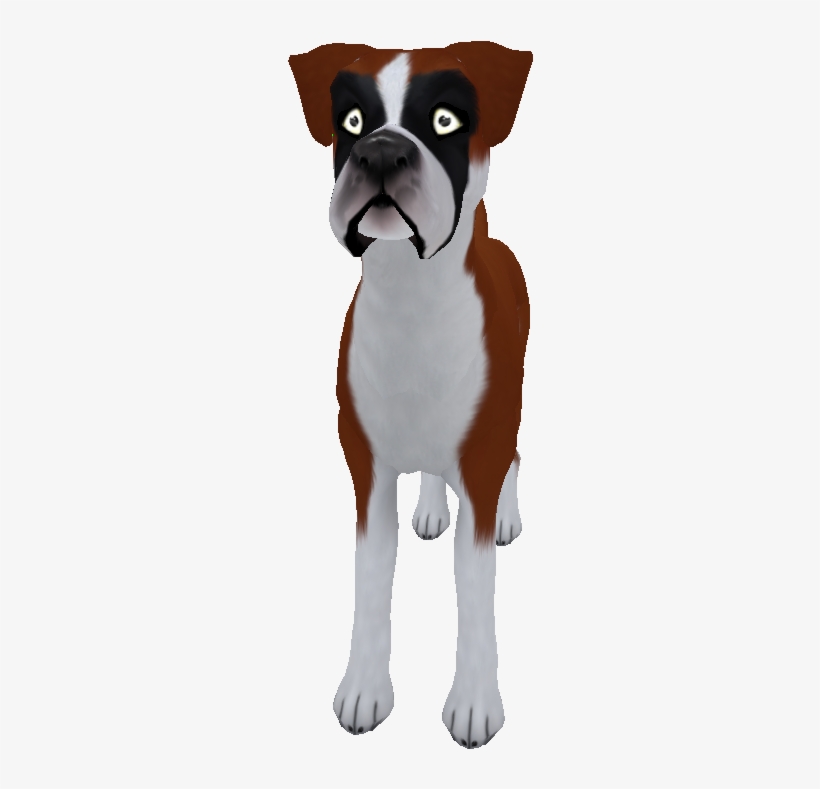 Boxer Standard Red - Boxer, transparent png #1169545