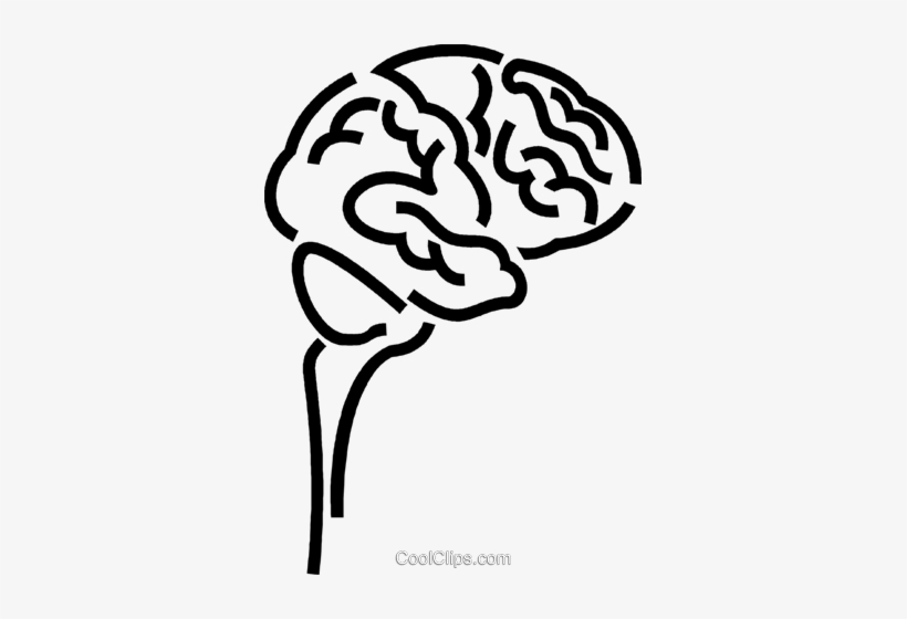 Human Brain Royalty Free Vector Clip Art Illustration - Cerebro Png Vector, transparent png #1170083