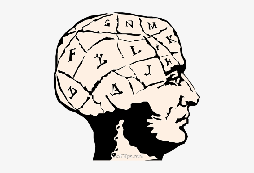 Human Brain Royalty Free Vector Clip Art Illustration - Brain Clipart, transparent png #1170157