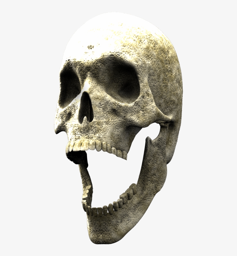 Here Is The 3d Skull To Finish Your Composite - Skull, transparent png #1172209