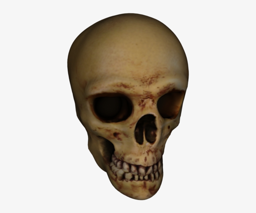 Skull, transparent png #1172254