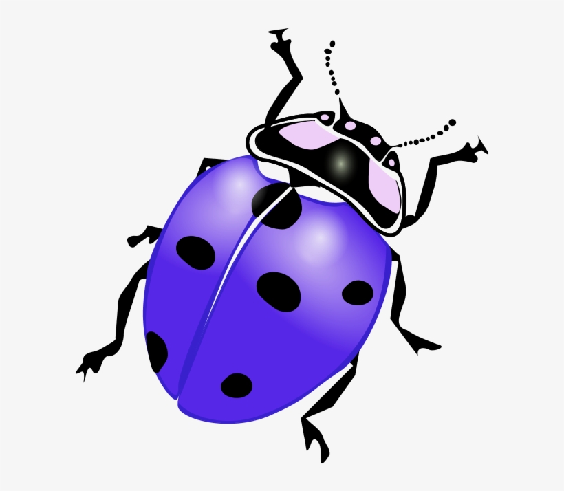 Ladybug Clipart Purple - Ladybird Black And White, transparent png #1173580