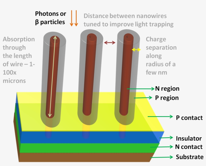 Wood, transparent png #1173659