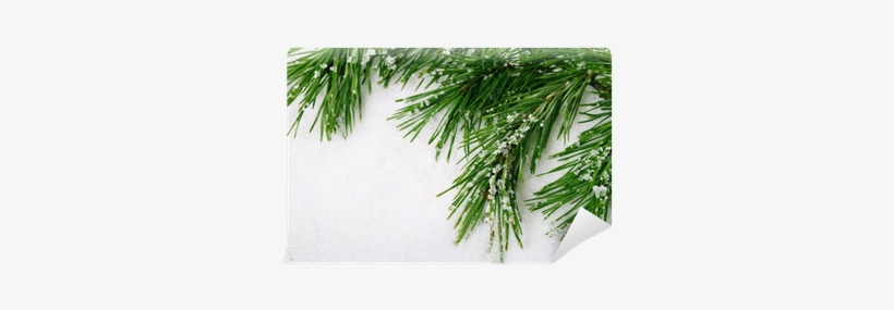 Photography, transparent png #1173892