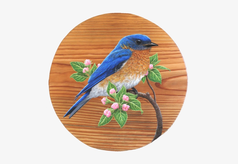 Heart Pine Reclaimed From The Original Academy Theater - Eastern Bluebird, transparent png #1174023