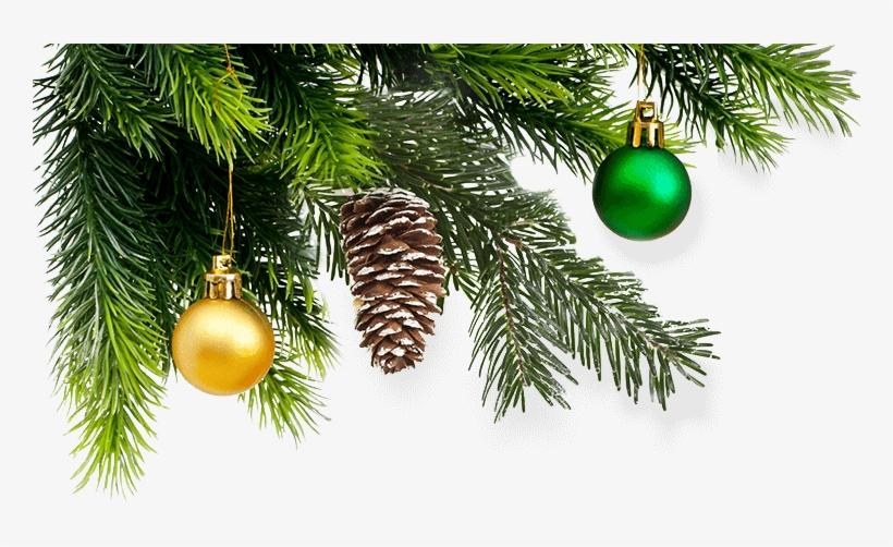 Parent Directory - Елка И Мандарины Пнг, transparent png #1174198