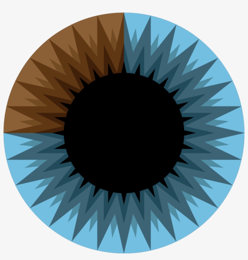 Circle Pattern Png, transparent png #1174846