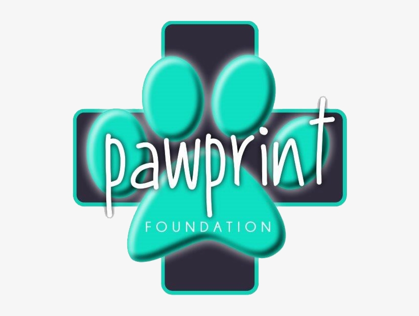 Paw Print - Dog, transparent png #1175720