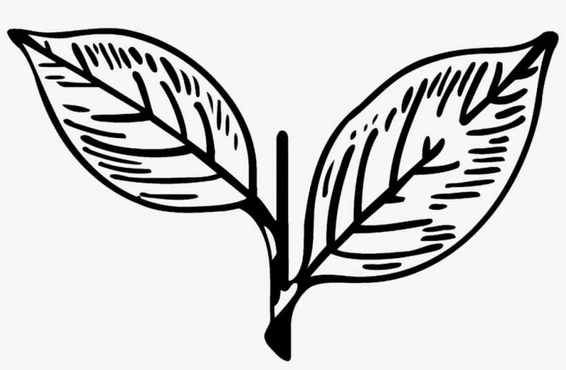 Aiadmk Two Leaves - Admk Symbol, transparent png #1176658