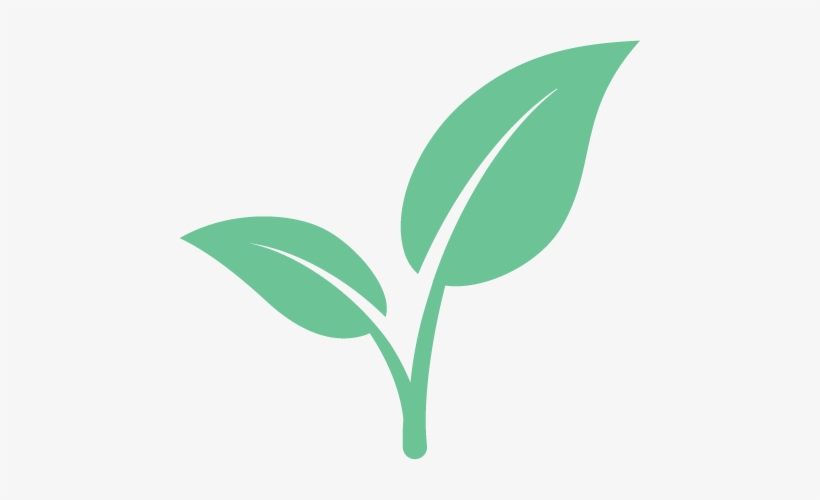 Eco Friendly - Eco Friendly Leaf Logo, transparent png #1176840