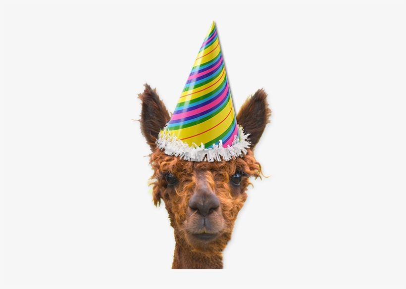 Fl Party Hat - Llama With A Party Hat, transparent png #1176841