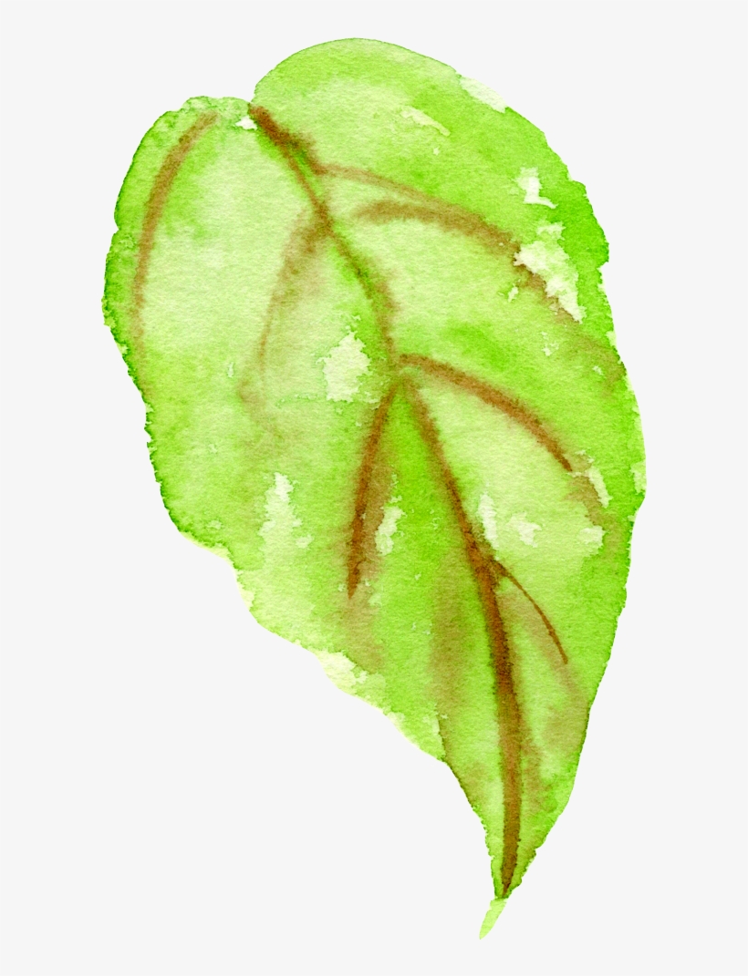 0℃素材14 - Sketch, transparent png #1178457