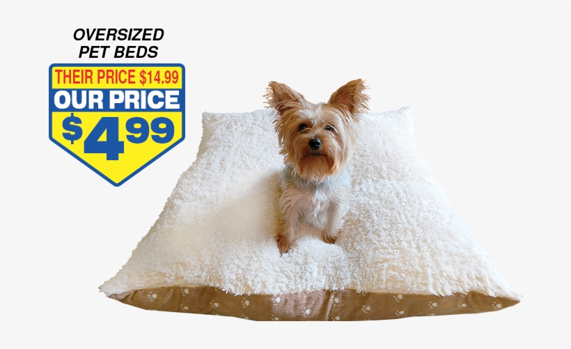 Pets 1, transparent png #1179223