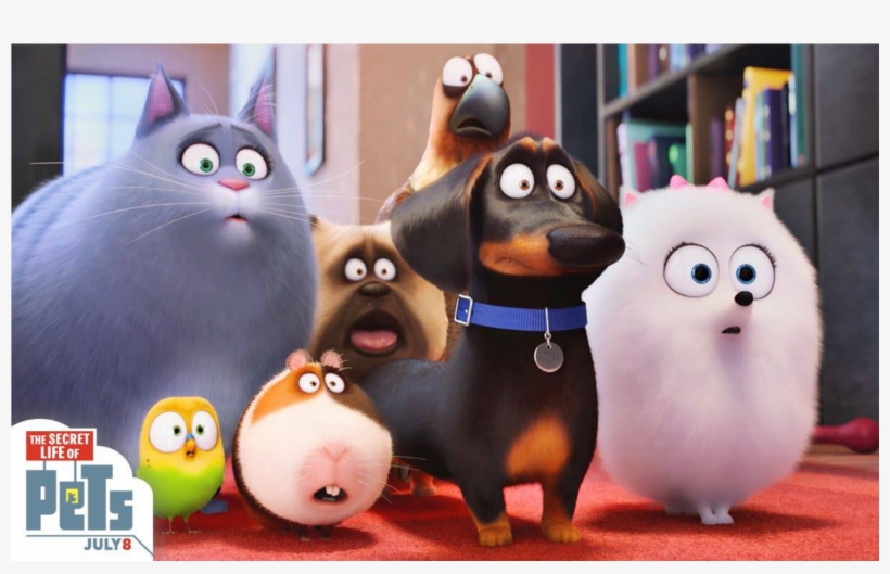 The Secret Life Of Pets, transparent png #1179266