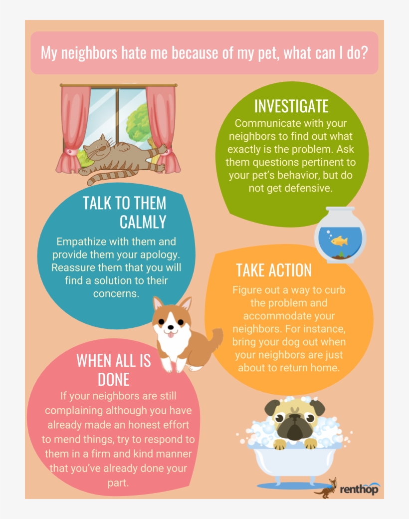 Loud Noises Made By Pets Is The Most Common Reason - Companion Dog, transparent png #1179772