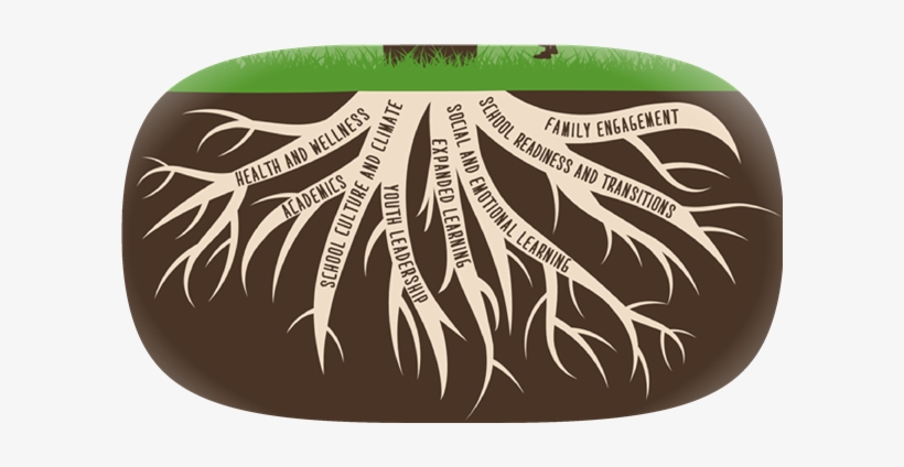 Roots - School Climate And Culture, transparent png #1179794