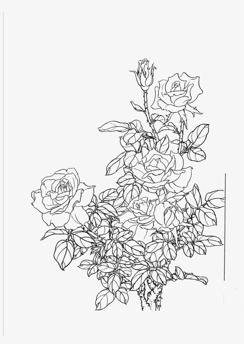 Flower Painting Drawing - Painting, transparent png #1180091