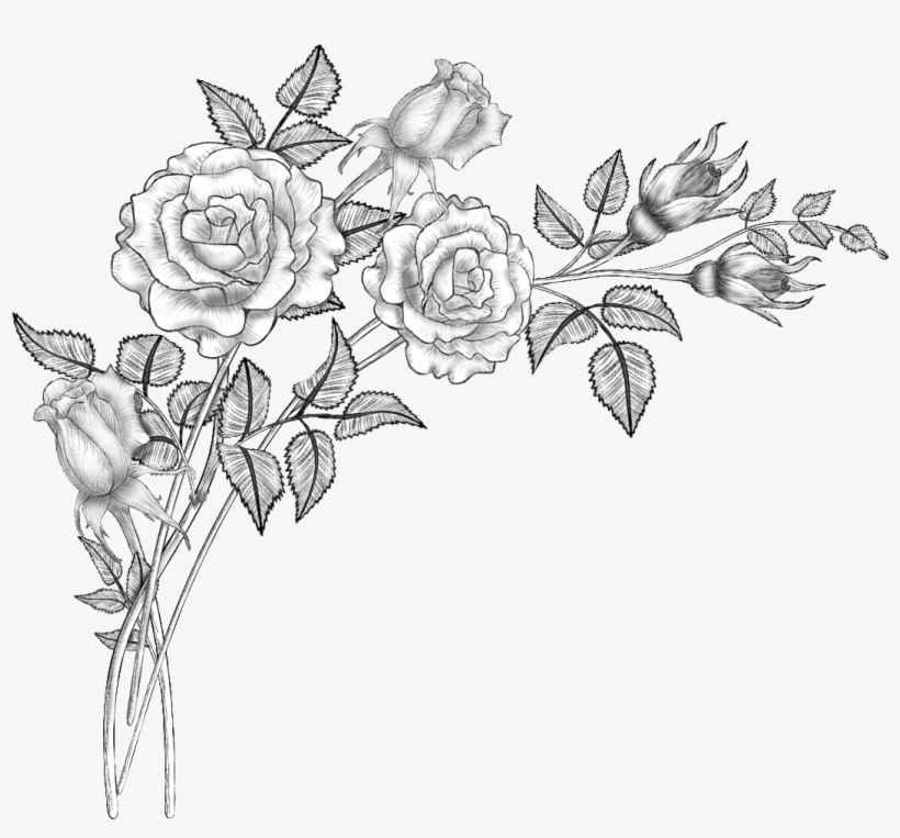 Floral Design Line Art Drawing Sketch - Flower Brushes, transparent png #1180499