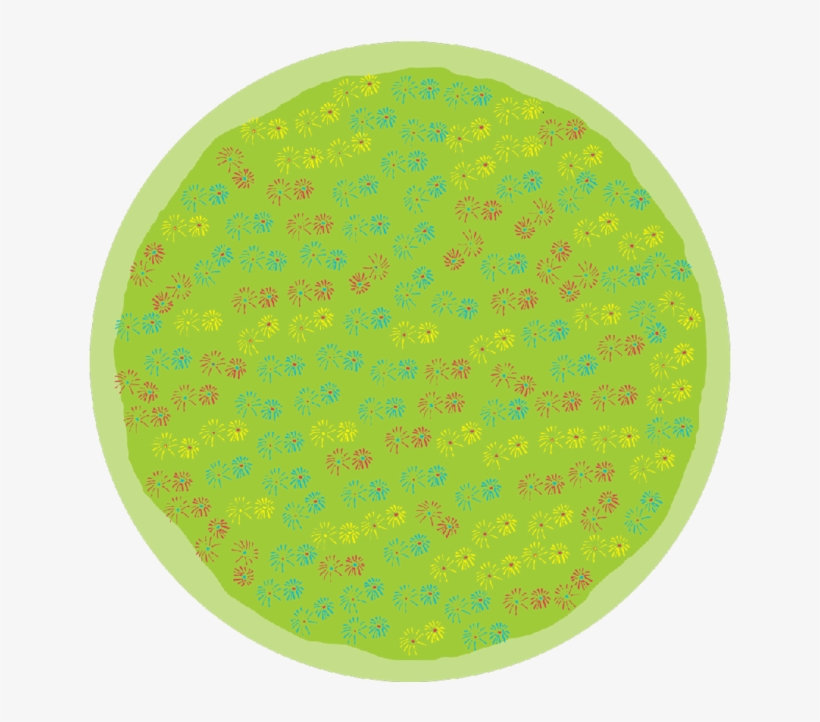 Flowers Round Placemat - Fc Steaua București, transparent png #1180523