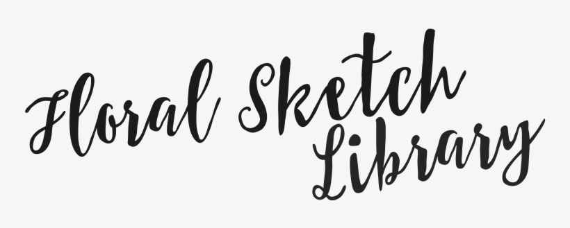 Floral Sketch Library - Portable Network Graphics, transparent png #1180549