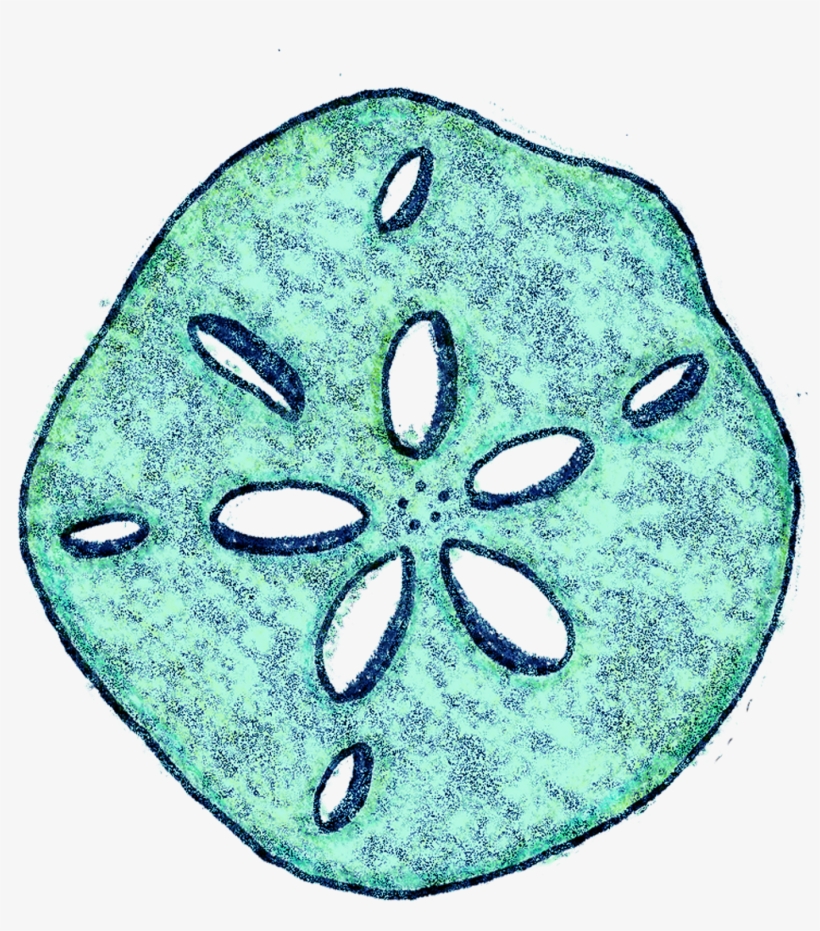 Bellamells On Society6, transparent png #1180656