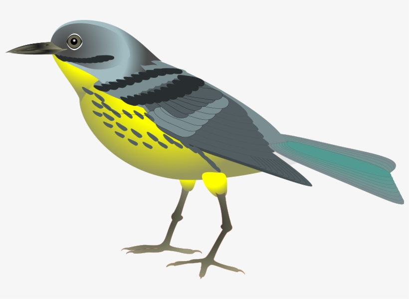 Bird Graphics Clip Art - Animal And Birds Png, transparent png #1181093