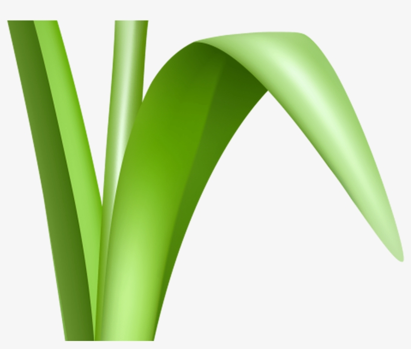 Free Flower Clipart Transparent Background Free Download - Portable Network Graphics, transparent png #1181132