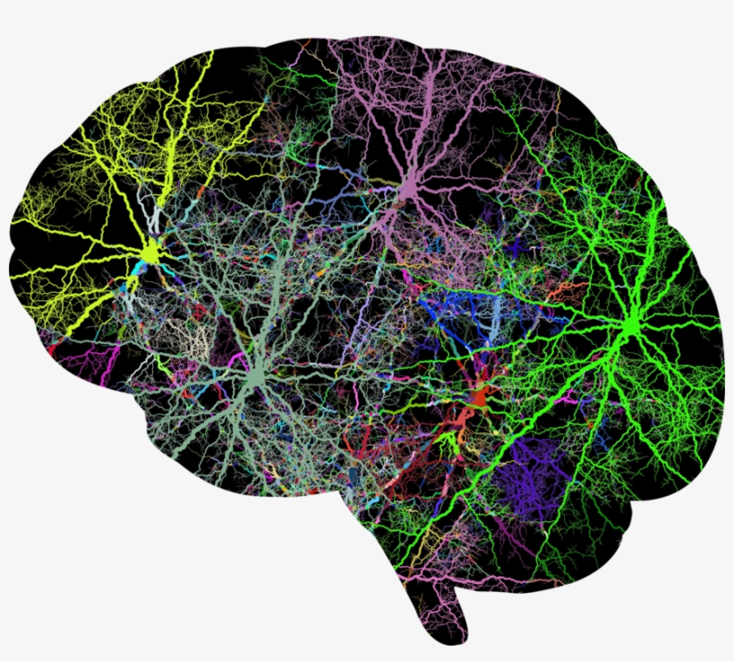 Brain Lightning Electricity Skull Head - Human Head, transparent png #1182303