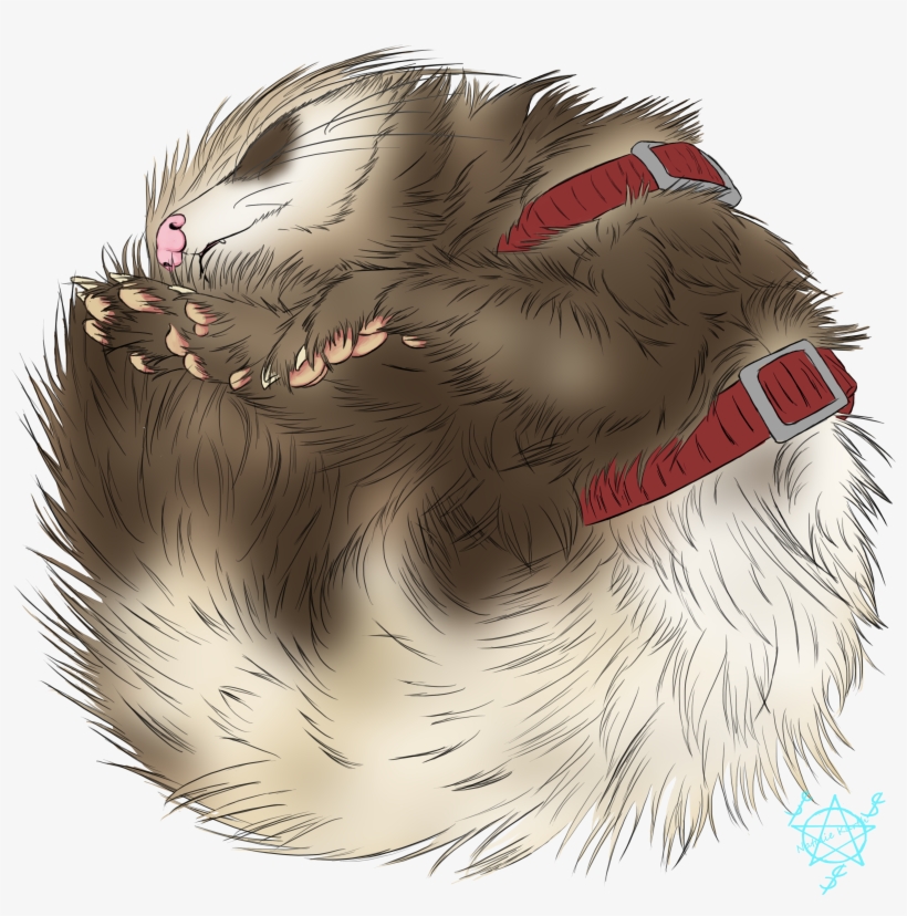 Drew One Of My Favorites Photos Of My Ferret, Discord - Hamster, transparent png #1183318