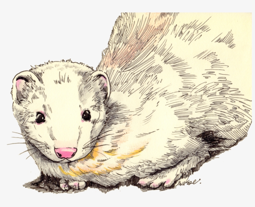 スキャン 1のコピー, transparent png #1183745