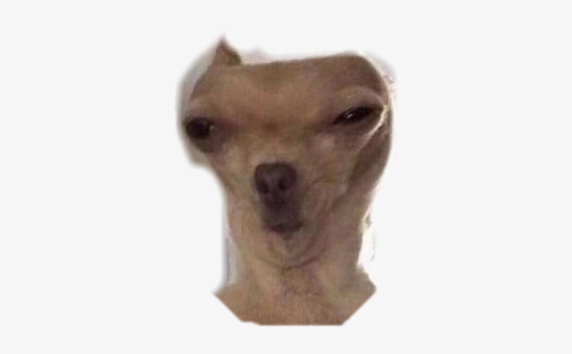 Joke, transparent png #1183956