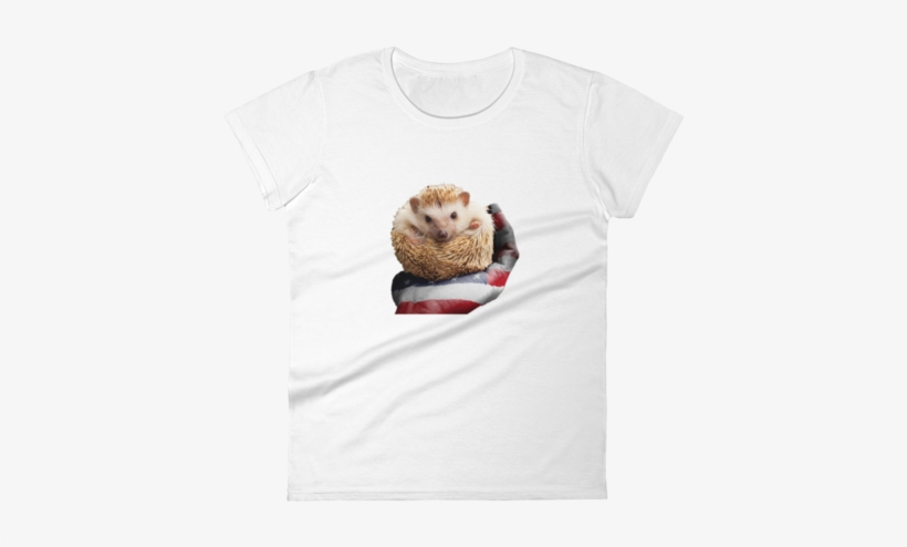 4th Of July Special Hedgehog T-shirt - T-shirt, transparent png #1184079