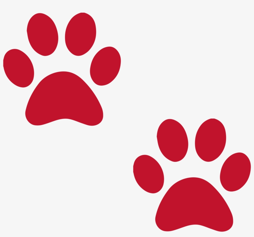 All Trails Are Open To Four-legged Friends On Leash - Cartoon Dog Paw Print, transparent png #1184142
