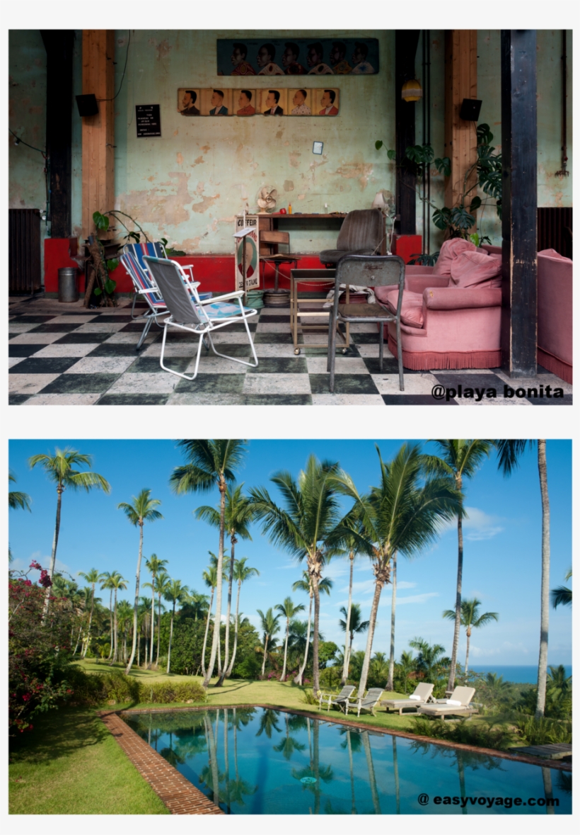 Feret2, transparent png #1184381