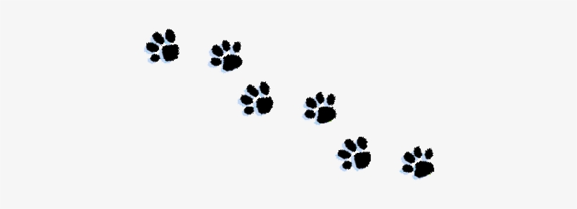 Tattoopins Comcopyright 2011 Petbath America - Paw, transparent png #1184653