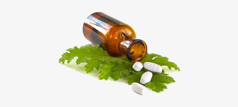 Herbal Medicine - Plant Medicine Market Size, transparent png #1184679
